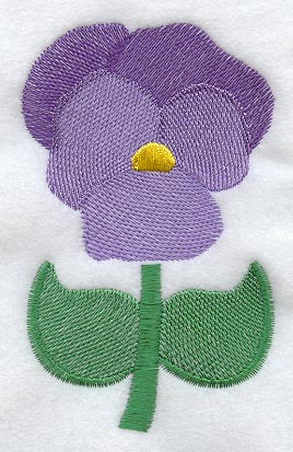 Pansy