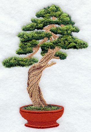 Bonsai Tree