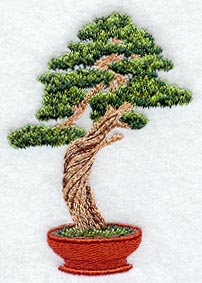 Bonsai Tree