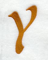 Cheshire Letter Y (3 Inch)