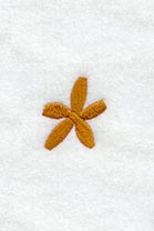 Cheshire Asterisk (3 Inch)