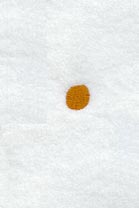 Cheshire Period (3 Inch)