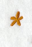 Cheshire Asterisk (3 Inch)