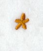 Cheshire Asterisk (3 Inch)
