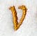 Cheshire Letter V (3 Inch)