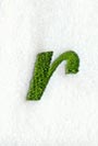 Royale Lower Case Letter r (3 Inch)