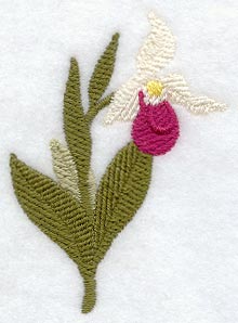 Ladyslipper (Thick Thread)