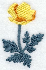 California Poppy (Thick Thread)