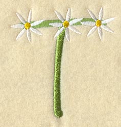 Daisy Letter T (3 Inch)