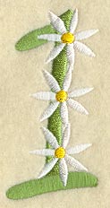 Daisy Number 1 (3 Inch)