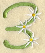 Daisy Number 3 (3 Inch)