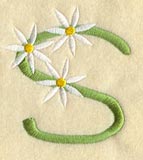Daisy Letter S (3 Inch)