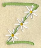 Daisy Letter Z (3 Inch)