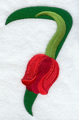 Tulip Number 7 - 5 inch