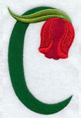 Tulip Letter C - 5 inch