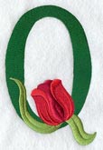Tulip Letter Q - 5 inch