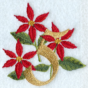 Poinsettia Number 5 - 4 inch