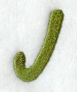 Book Script Letter J (3 Inch)