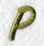Book Script Letter P (3 Inch)