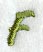 Book Script Letter F (3 Inch)