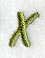 Book Script Letter X (3 Inch)