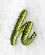 Book Script Lower Case Letter h (3 Inch)