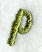 Book Script Lower Case Letter p (3 Inch)