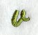 Book Script Lower Case Letter v (3 Inch)