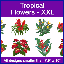 A Tropical Flowers Design Pack