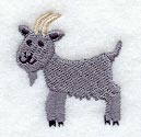 Little Goat