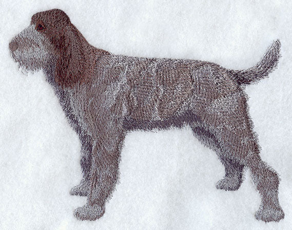 Spinone Italiano