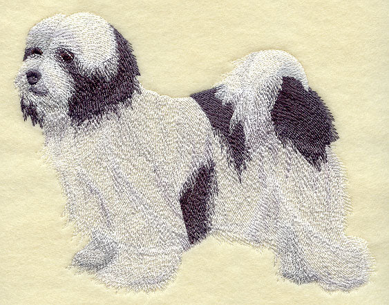 Tibetan Terrier