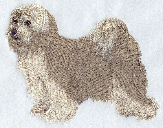 Tibetan Terrier