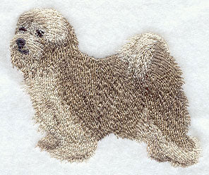 Tibetan Terrier