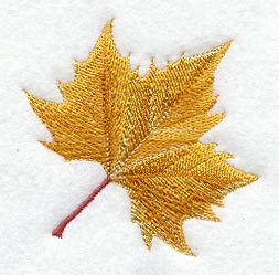 Sycamore Leaf