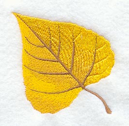 Cottonwood Leaf