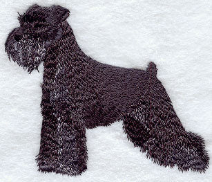 Schnauzer
