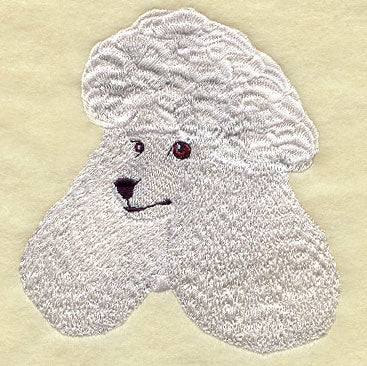 Standard Poodle Head