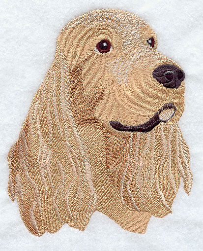 American Cocker Spaniel Head