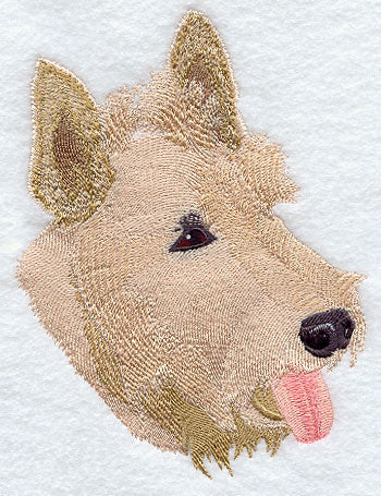 Scottish Terrier Head