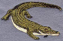 Crocodile