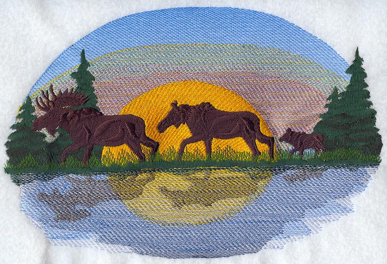 Moose Family At Dusk/Dawn