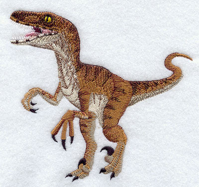 Velociraptor