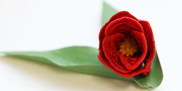 3D Freestanding Lace Tulip