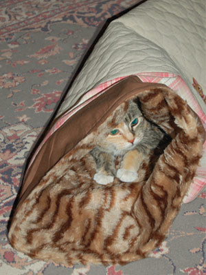 Embroidered Cozy Cat Tunnel