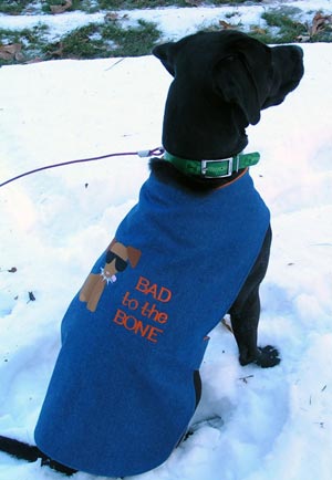 Embroidered Cozy Dog Coat