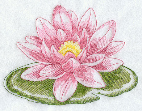 Lilies