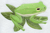 Green Tree Frog