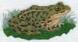 Leopard Frog