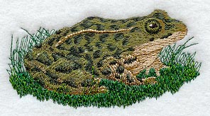 Leopard Frog